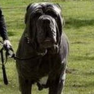 Meet your Posher, Christopher